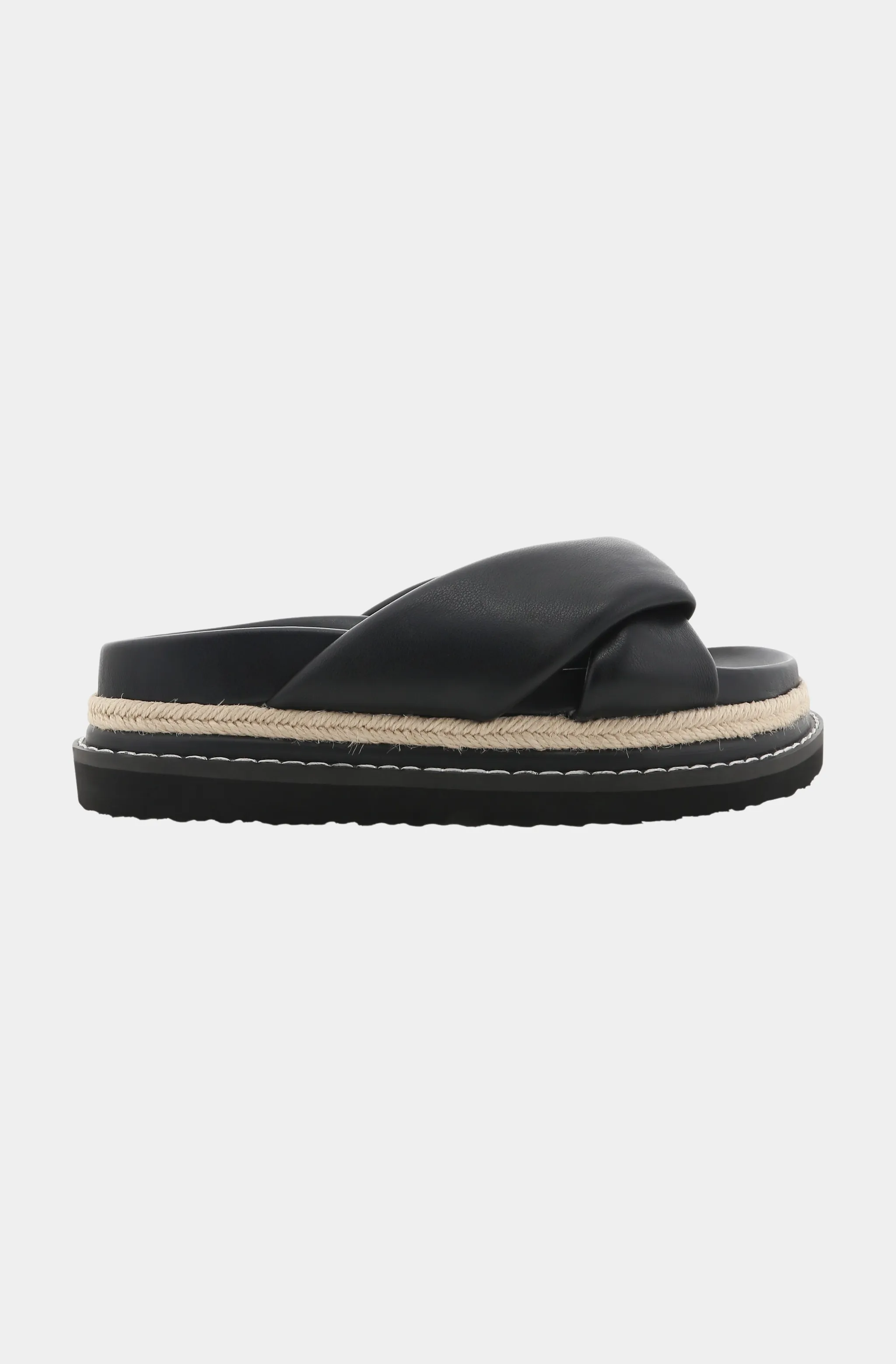 Ailani Platform Slide
