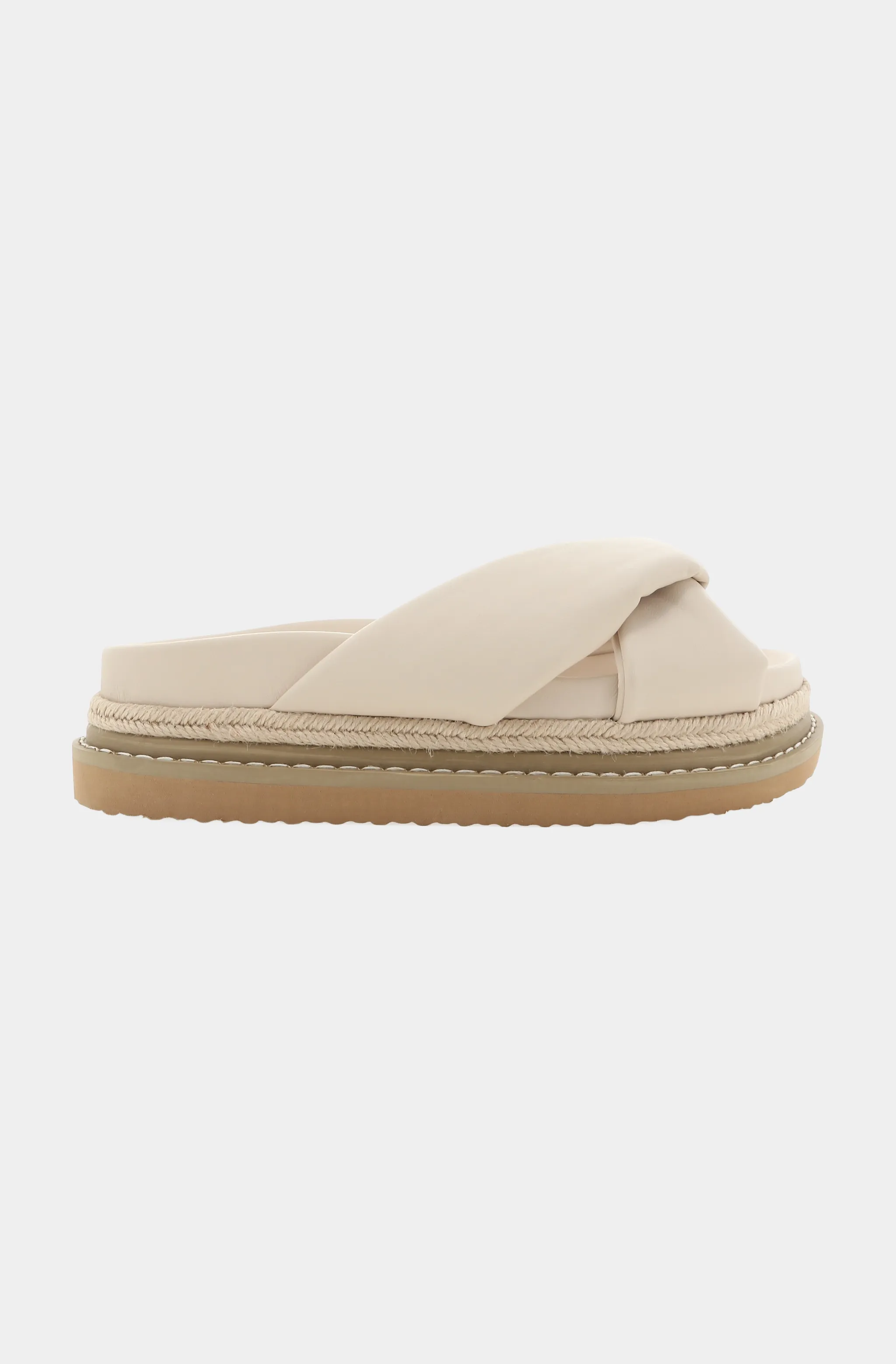 Ailani Platform Slide
