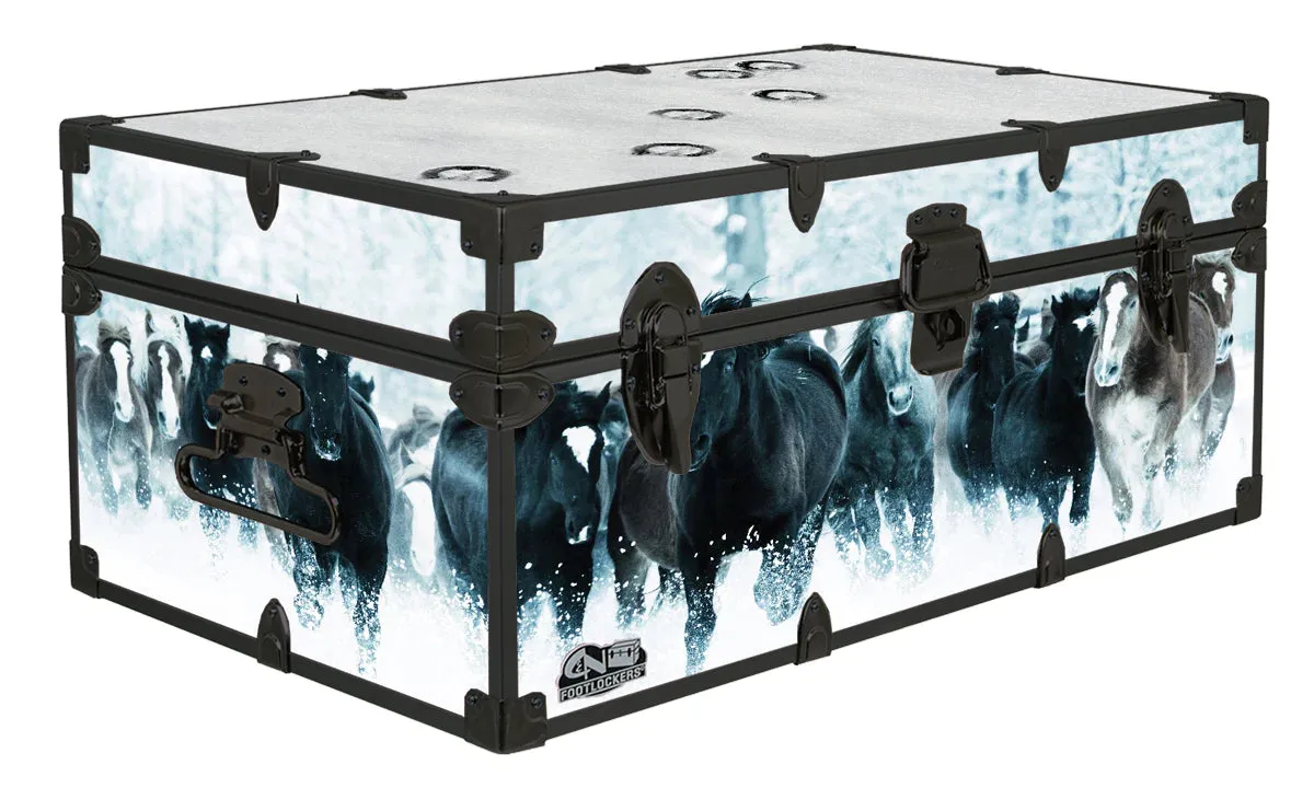 Designer Trunk - Wild Horses - 32x18x13.5"