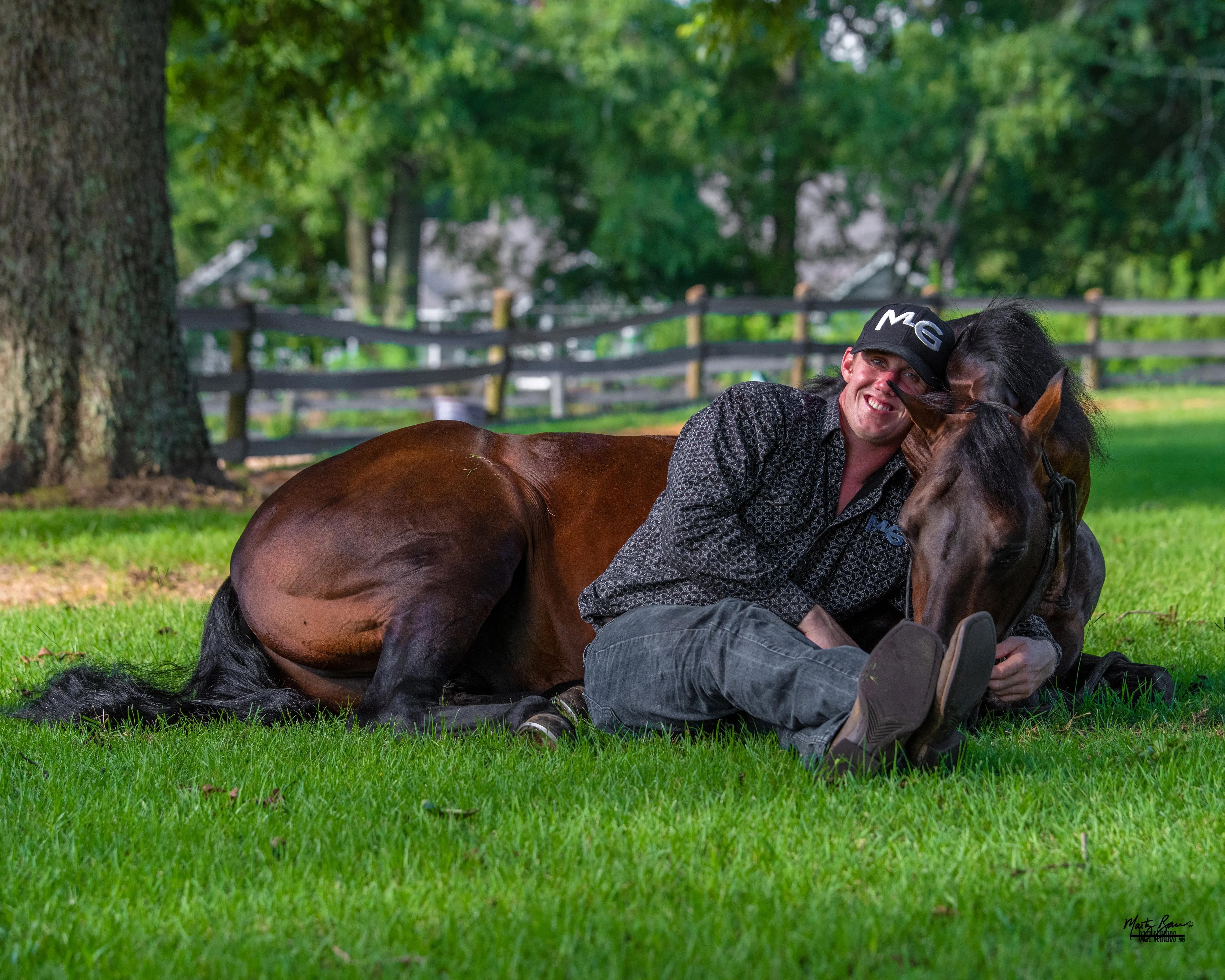Free Horse Training
