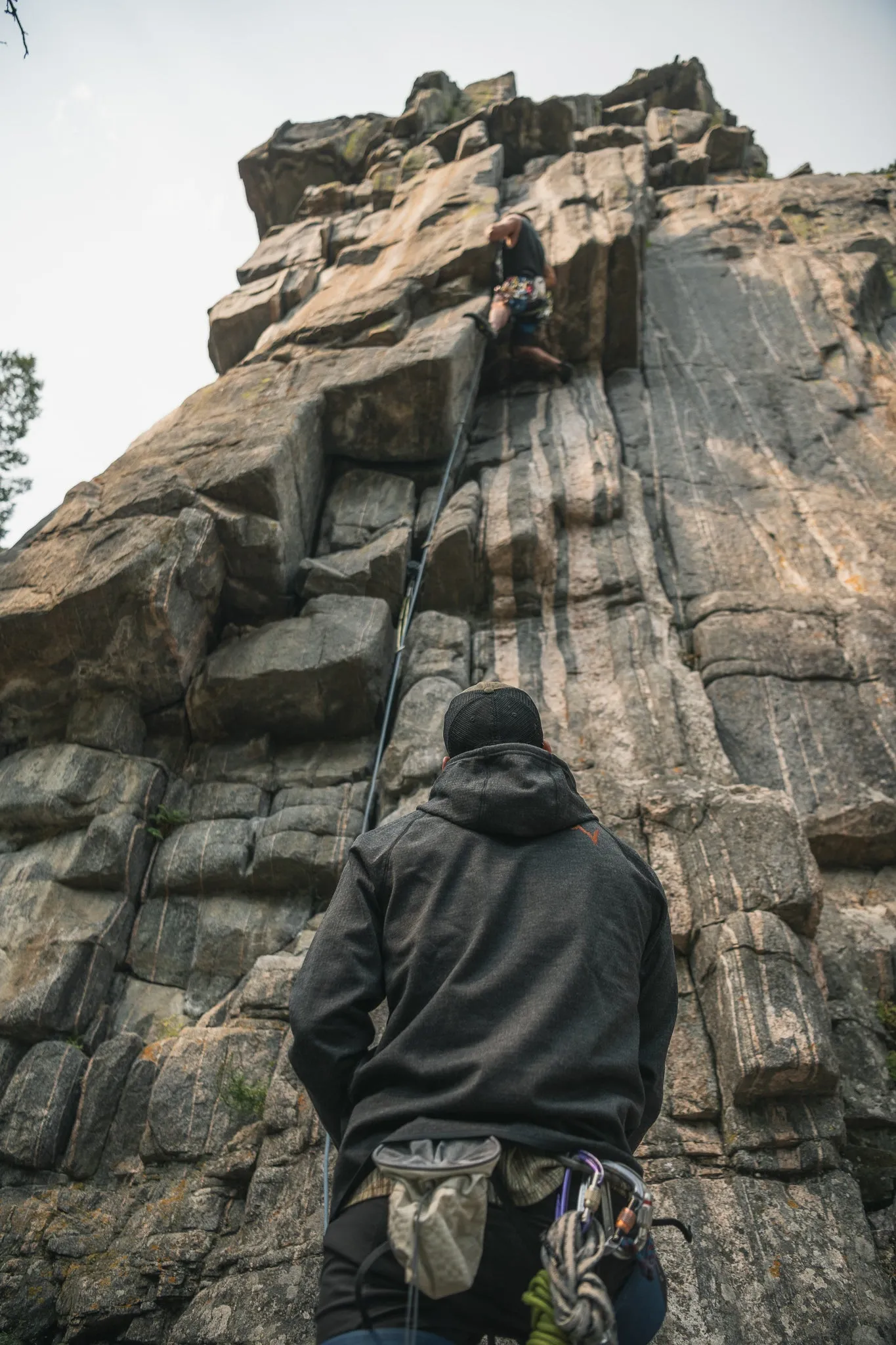 Treeline Hoodie